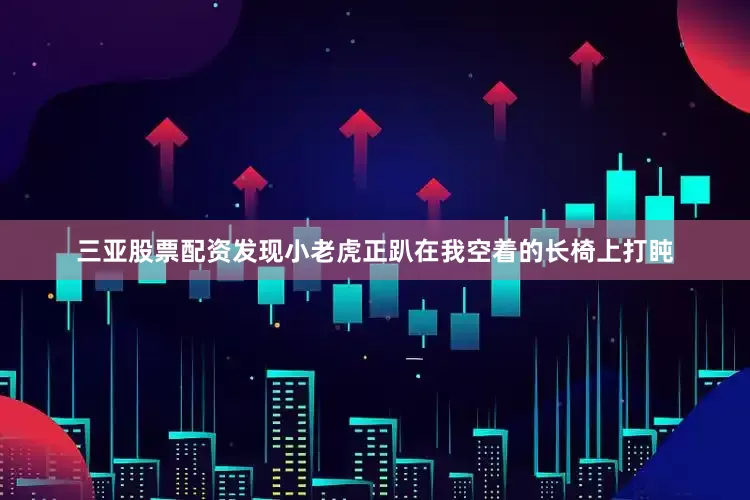三亚股票配资发现小老虎正趴在我空着的长椅上打盹
