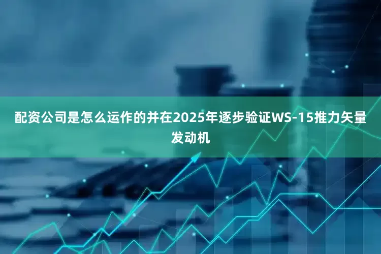 配资公司是怎么运作的并在2025年逐步验证WS-15推力矢量发动机