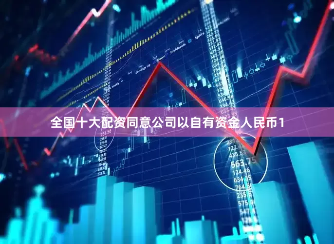 全国十大配资同意公司以自有资金人民币1