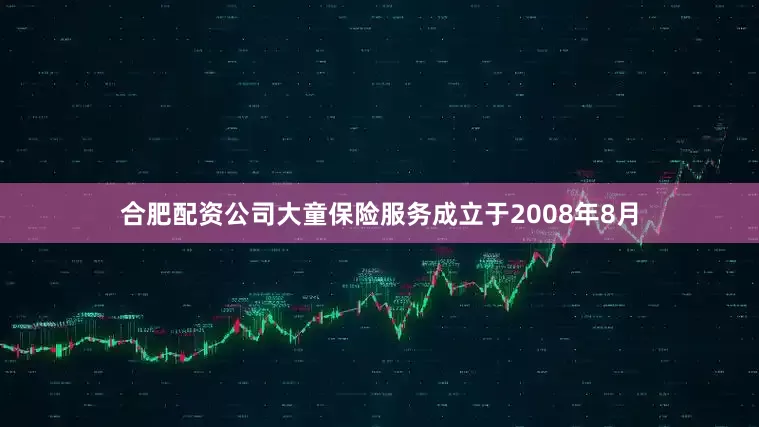 合肥配资公司大童保险服务成立于2008年8月