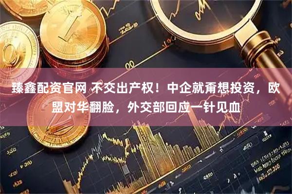 臻鑫配资官网 不交出产权！中企就甭想投资，欧盟对华翻脸，外交部回应一针见血